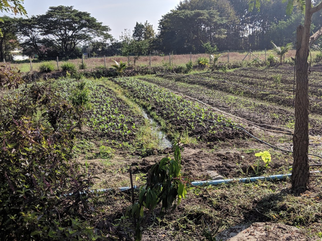 00000PORTRAIT_00000_BURST20190115100455167