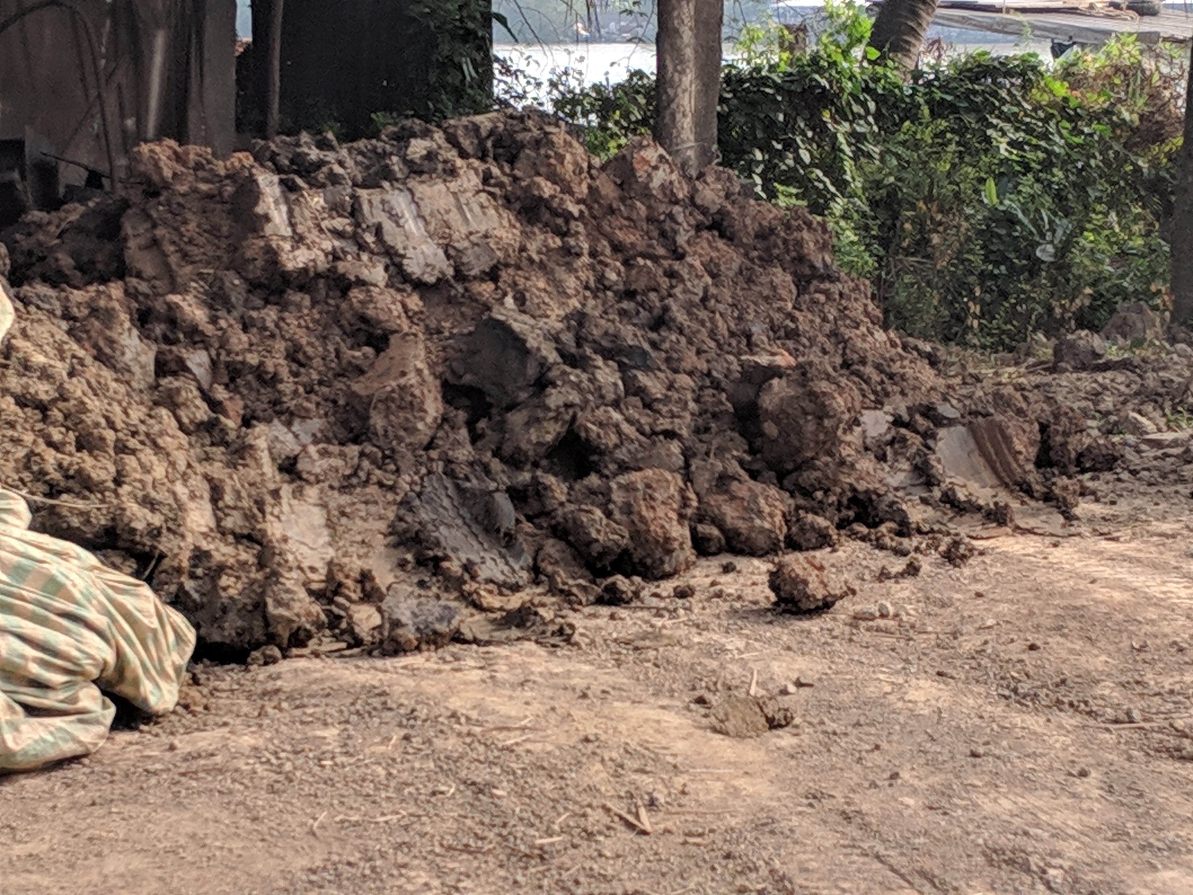 00000img_00000_burst20190127090718640_cover