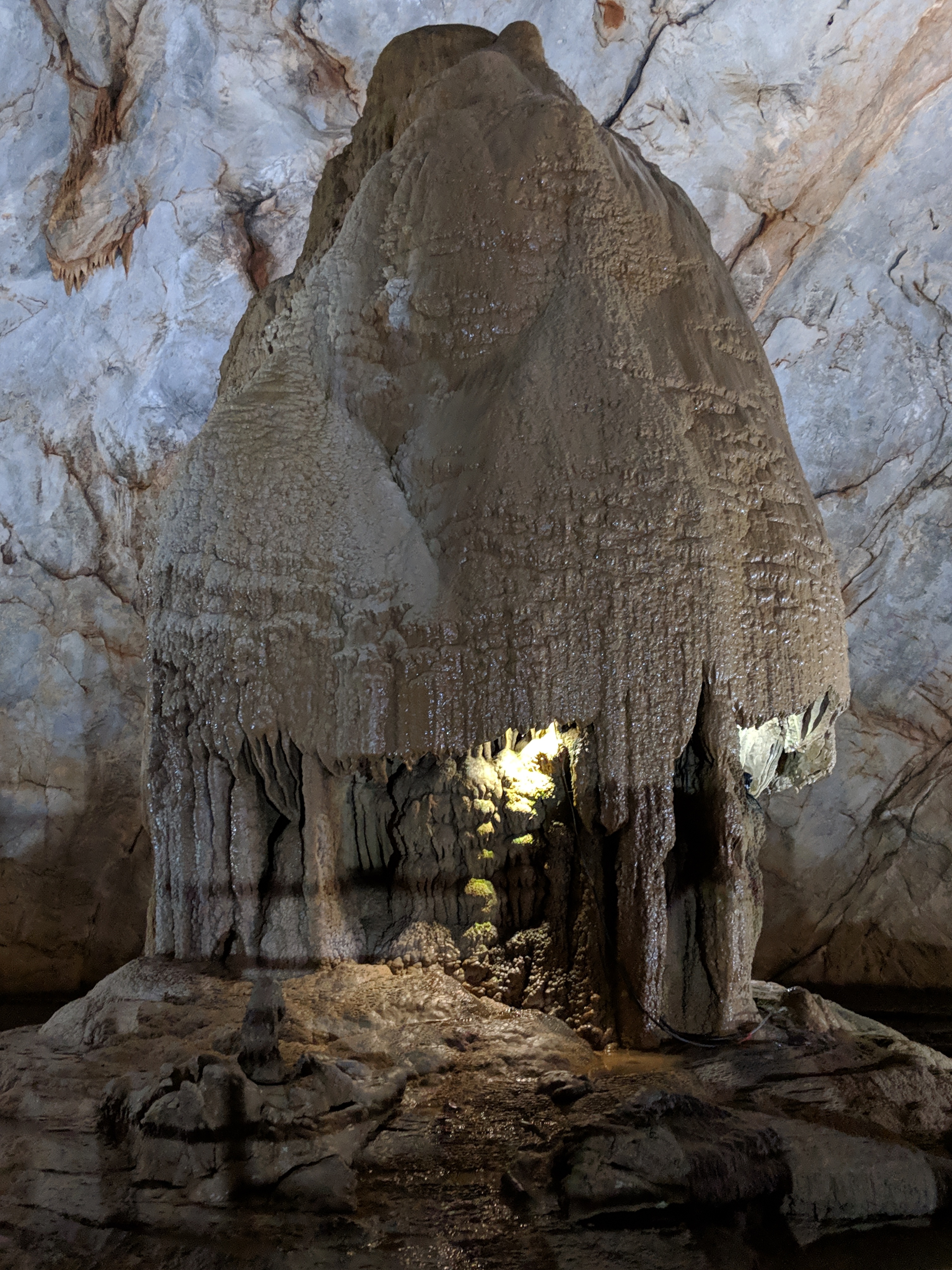 00000IMG_00000_BURST20190131152411200_COVER